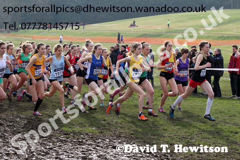 Start of the of the under-17 womens Inter Counties Cross Country, Cofton Park, Birmingham. Photo: David T. Hewitson/Sports for All Pics